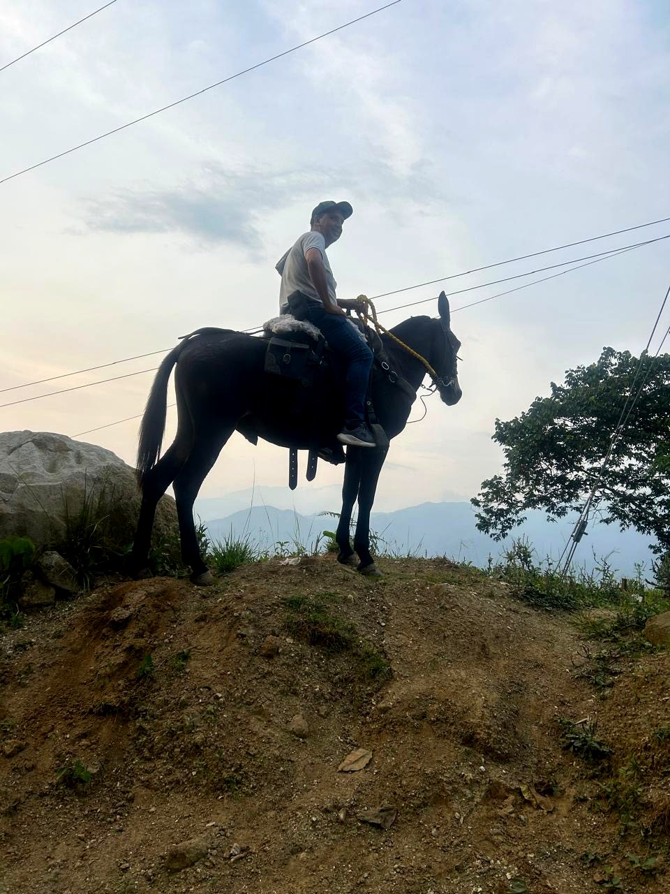 Jinete en lo alto de la cordillera, camino de la finca
